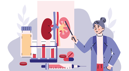 kidney function