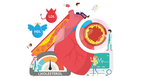 lipid profile