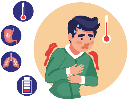  fever profile routine (47 tests)